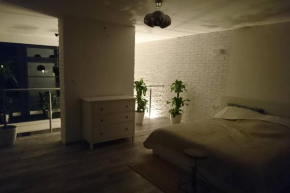 Apartament Loft 100 m2 Centrum Bydgoszcz